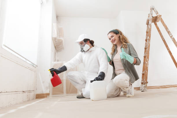 Environmental Consulting for Mold Prevention in Selma, AL